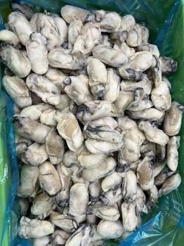 Robusta Coffee Beans Lampung Coffee Grade Grade 1, Grade 2, Grade 3 - PT Cipta Tunggal Agronusa - Indonesia